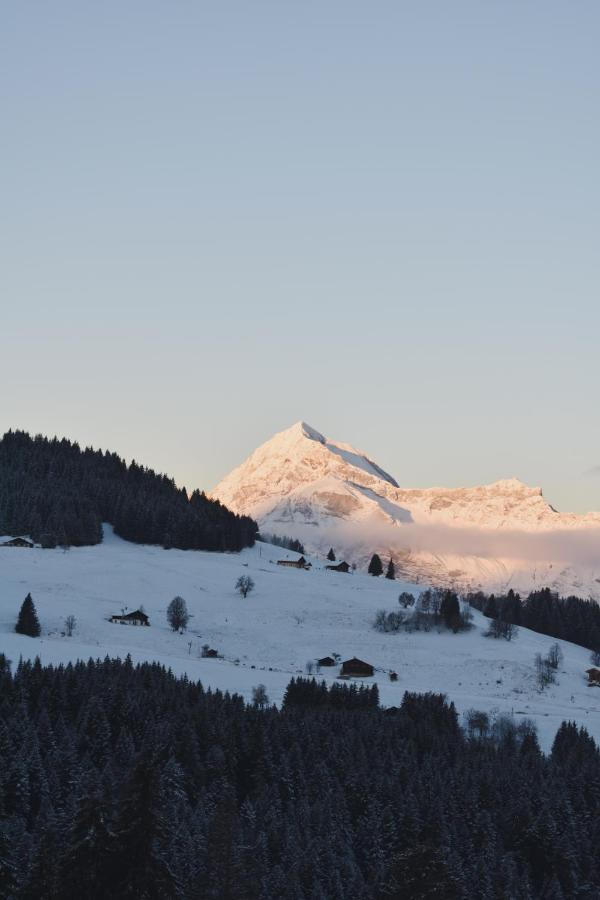 Chez Nonna - Charmant Demi-Chalet A La Montagne ノートル・ダム・ド・ベルコンブ エクステリア 写真